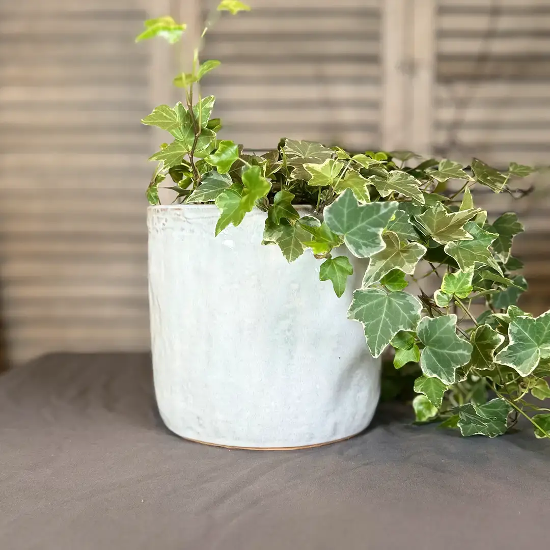 Keramik-Übertopf „Limestone“ 17 cm | Crèmeweiß – Bild 6